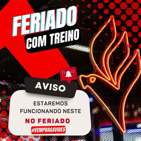 gavioes academia|Academia Gaviões 24h (Oficial) .